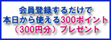 会員登録で300ポイント(300円分)プレゼント!!